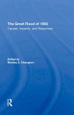 The Great Flood Of 1993 (eBook, ePUB)