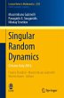 Singular Random Dynamics - Bild 1