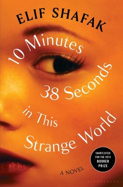 10 Minutes 38 Seconds in This Strange World - Shafak