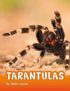 Tarantulas - Jaycox, Jaclyn