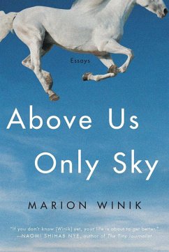 Above Us Only Sky - Winik, Marion