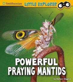 Powerful Praying Mantids - Higgins, Melissa