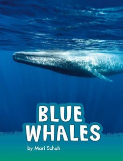 Blue Whales - Schuh, Mari