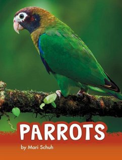 Parrots - Schuh, Mari