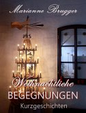 Weihnachtliche Begegnungen (eBook, ePUB)