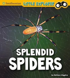 Splendid Spiders - Higgins, Melissa