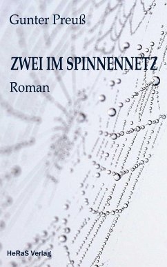 Zwei im Spinnennetz (eBook, ePUB) - Preuß, Gunter