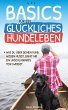 Basics für ein glückliches Hundeleben... - Bild 1