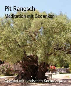 Meditation mit Gedanken (eBook, ePUB) - Ranesch, Pit