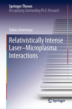 Relativistically Intense Laser–Microplasma Interactions (eBook, PDF) - Ostermayr, Tobias