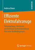 Effiziente Elektrofahrzeuge (eBook, PDF)