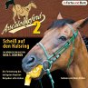Arschlochpferd 2 - Scheiß auf den... - Bild 1