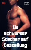 Ein schwarzer Stecher auf Bestellung (eBook, ePUB)