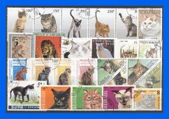 Cover 50 verschiedene Briefmarken Katzen