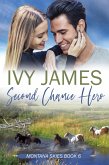 Second Chance Hero (Montana Skies Series, #6) (eBook, ePUB)