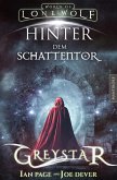 Greystar 03 - Hinter dem Schattentor (eBook, ePUB)