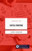 Basics of Capital Structure (eBook, ePUB)