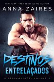 Destinos Entrelaçados (O perseguidor, #3) (eBook, ePUB)