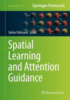 Cover Spatial Learning and Attention Guidance