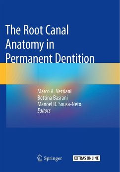 The Root Canal Anatomy in Permanent Dentition