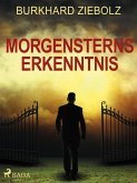 Morgensterns Erkenntnis - Kriminalroman aus Niedersachsen (eBook, ePUB)