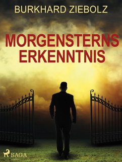 Morgensterns Erkenntnis - Kriminalroman aus Niedersachsen (eBook, ePUB) - Ziebolz, Burkhard