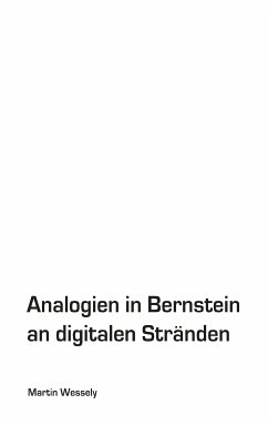 Analogien in Bernstein an digitalen Stränden (eBook, ePUB)