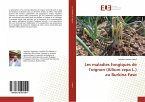 Les maladies fongiques de l'oignon (Allium cepa L.) au Burkina Faso
