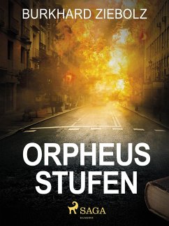 Orpheus Stufen - Kriminalroman (eBook, ePUB) - Ziebolz, Burkhard