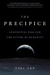 The Precipice (eBook, ePUB) - Bild 1