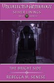 The Bright Side (Uncollected Anthology, #19) (eBook, ePUB)