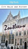 Zoutleeuw (eBook, ePUB)