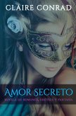 Amor Secreto (eBook, ePUB)