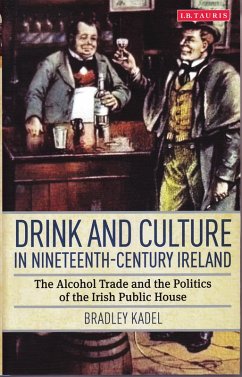 Cover Drink and Culture in Nineteenth-century Ireland (eBook, PDF)