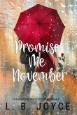 Promise Me November (Twelve Months, Twelve Love Stories, #4) (eBook, ePUB)
