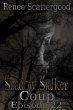 Shadow Stalker: Coup (Episode 22)... - Bild 1