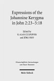 Expressions of the Johannine Kerygma in John 2:23-5:18 (eBook, PDF)