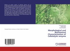 Morphological and Biochemical Characterization of Cellulolytic enzyme