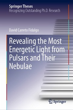 Revealing the Most Energetic Light from Pulsars and Their Nebulae (eBook, PDF) - Carreto Fidalgo, David