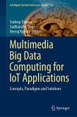 Multimedia Big Data Computing for IoT Applications (eBook, PDF)
