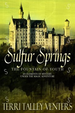 Sulfur Springs (Under The Magic Adventure, #1) (eBook, ePUB) - Venters, Terri Talley