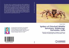 Spiders of Chincholi Wildlife Sanctuary, Kalaburagi, Karnataka, India