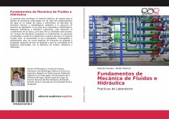Fundamentos de Mecánica de Fluidos e Hidráulica - Campos, Antonio;Valencia, Xavier