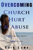 Overcoming Church Hurt & Abuse: Freedom From Past Hurts. Freedom to Soar.