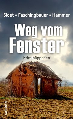 Weg vom Fenster (eBook, ePUB) - Sloet, Rolf Peter; Faschingbauer, Manfred; Hammer, Wolfgang