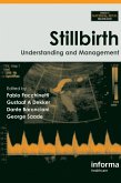 Stillbirth (eBook, PDF)
