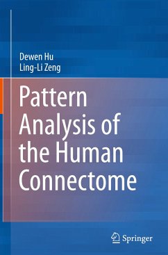 Pattern Analysis of the Human Connectome - Hu, Dewen;Zeng, Ling-Li