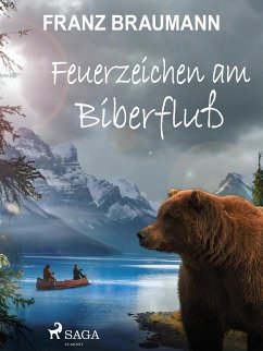 Feuerzeichen am Biberfluß (eBook, ePUB) - Braumann, Franz