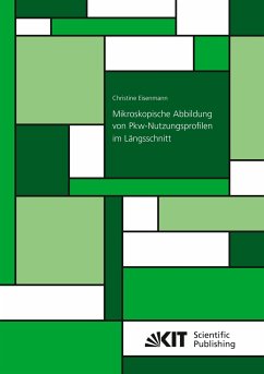 Mikroskopische Abbildung von Pkw-Nutzungsprofilen im Längsschnitt