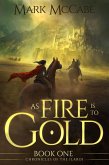 As Fire is to Gold (Chronicles of the Ilaroi, #1) (eBook, ePUB) As Fire is to Gold (Chronicles of the Ilaroi, #1) (eBook, ePUB)